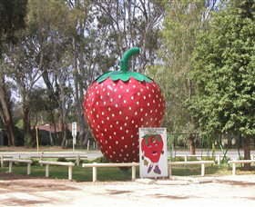The Big Strawberry - Lennox Head Accommodation 1