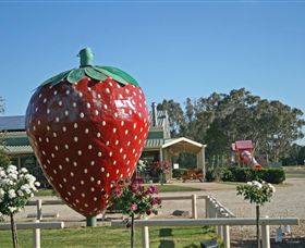 The Big Strawberry - Lennox Head Accommodation 2
