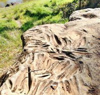Terramungamine Rock Grooves - Lennox Head Accommodation