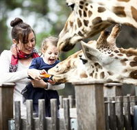 Taronga Western Plains Zoo Dubbo - Lennox Head Accommodation