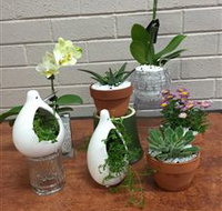 Cobram Florist - Lennox Head Accommodation