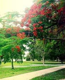 Gooseponds, North Mackay - Lennox Head Accommodation 1
