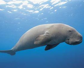 Dugong Sanctuary - Clairview - Lennox Head Accommodation 1