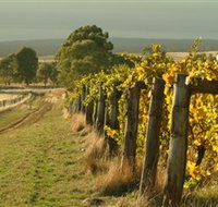 Captains Creek Organic Wines - Lennox Head Accommodation