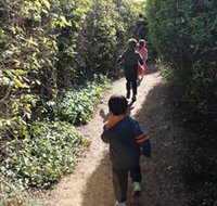 The Tangled Maze  Mistydowns Nursery - Lennox Head Accommodation