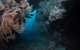 Luncheon Bay Dive Site - thumb 2