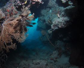 Luncheon Bay Dive Site - Lennox Head Accommodation 2