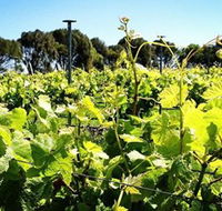 Basalt Wines - Lennox Head Accommodation