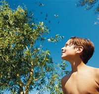 Bushwalking on Keswick Island - Lennox Head Accommodation