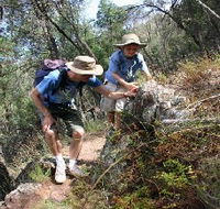 Mount Arthur Reserve - Lennox Head Accommodation