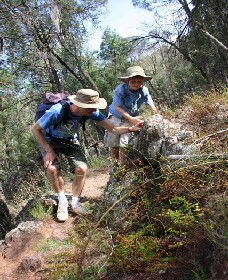 Mount Arthur Reserve - Lennox Head Accommodation 0