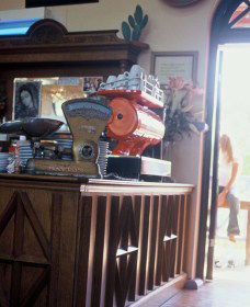 Cactus Cafe And Gallery - Lennox Head Accommodation 1