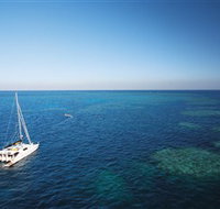 Bait Reef and Garys Lagoon Dive Site - Lennox Head Accommodation