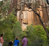 Sawn Rocks walking track - Lennox Head Accommodation