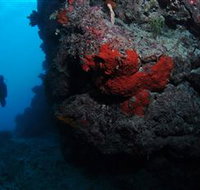Stepping Stones Dive Site - Lennox Head Accommodation