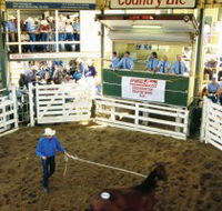 Gracemere Exhibition Complex - Lennox Head Accommodation