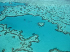 Heart Reef - Lennox Head Accommodation 0