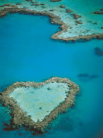 Heart Reef - Lennox Head Accommodation 3