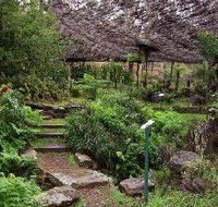 Burrendong Botanic Garden and Arboretum - Lennox Head Accommodation