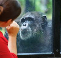 The Rockhampton Zoo - Lennox Head Accommodation