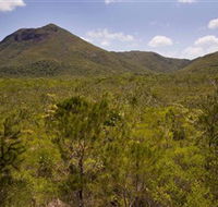 Kutini-Payamu Iron Range National Park CYPAL - Lennox Head Accommodation