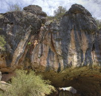 Borenore Karst Conservation Reserve - Lennox Head Accommodation