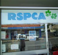 R.S.P.C.A Opportunity Shop - Lennox Head Accommodation
