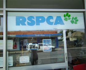 R.S.P.C.A Opportunity Shop - Lennox Head Accommodation 0