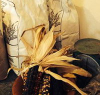 Buronga Organics - Coota - Lennox Head Accommodation