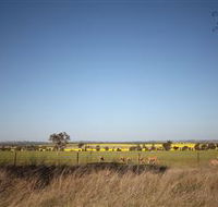 Cootamundra Bird Walk - Lennox Head Accommodation