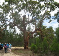 Koorilgur Nature Reserve