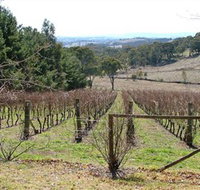 Habitat Vineyard - Lennox Head Accommodation