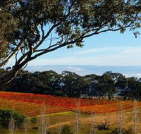 Bloodwood Estate - Lennox Head Accommodation
