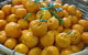 Hillside Orchard - thumb 1