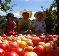 Bonny Glen Fruits - Lennox Head Accommodation