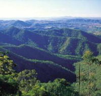 Kroombit Tops National Park - Lennox Head Accommodation