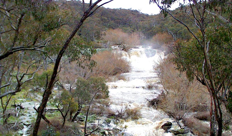 Ophir NSW Lennox Head Accommodation