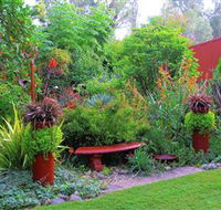 Out of Town Nursery and Humming Garden - Lennox Head Accommodation