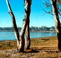 Lake Broadwater Conservation Park - Lennox Head Accommodation