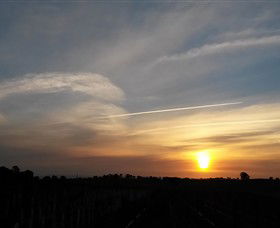 Beechworth Wine Estates - Lennox Head Accommodation 4