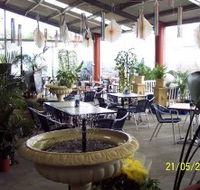 Warwicks Gardens Galore - Lennox Head Accommodation