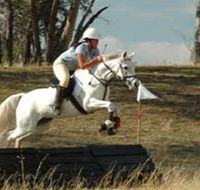 National Equestrian Centre - Kerrabee - Lennox Head Accommodation