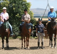 Forest Park Riding and Equitation School - Lennox Head Accommodation