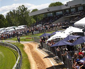 Thoroughbred Park Canberra Racing Club - Horse Racing In The Nations Capital - Lennox Head Accommodation 0