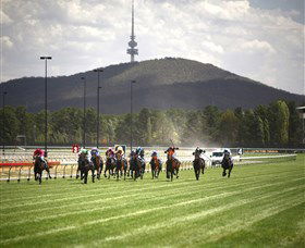 Thoroughbred Park Canberra Racing Club - Horse Racing In The Nations Capital - Lennox Head Accommodation 3