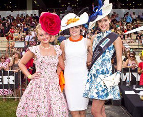 Thoroughbred Park Canberra Racing Club - Horse Racing In The Nations Capital - Lennox Head Accommodation 2