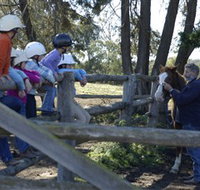 Harlow Park Horse Riding - Lennox Head Accommodation