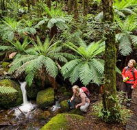 Baw Baw National Park - Lennox Head Accommodation