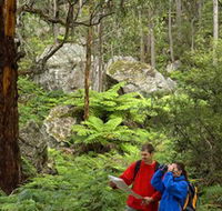 Centennial Glen - Lennox Head Accommodation
