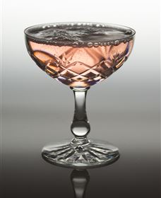 Polit Bar - More Than Cocktails - Lennox Head Accommodation 2
